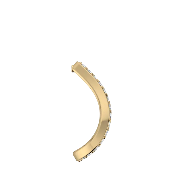 EAR-113
